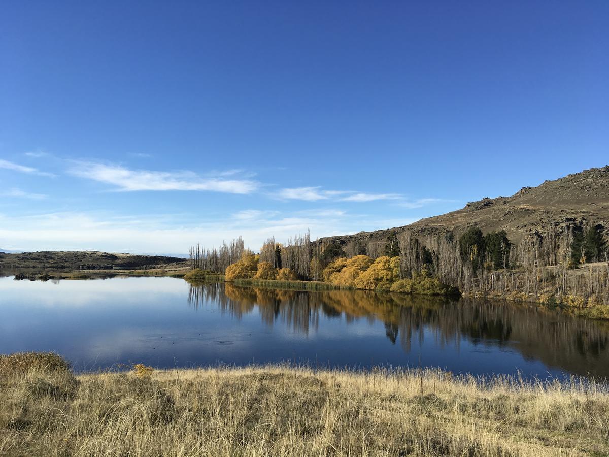 Lye Bow Lake Suite Alexandra Dış mekan fotoğraf